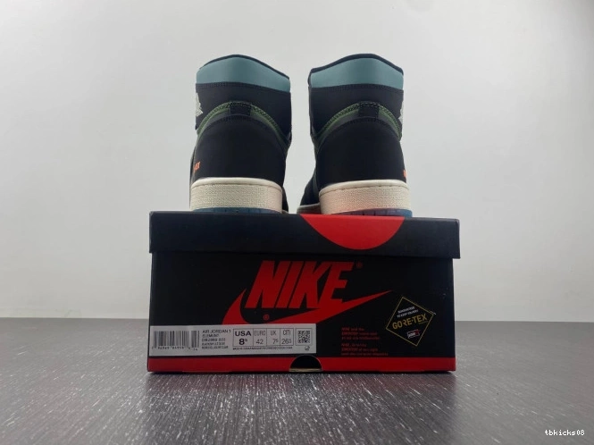 Reps TBkick Light Olive Air J Sky DB2889-003 Element Jordan 1 Gore-Tex 0704
